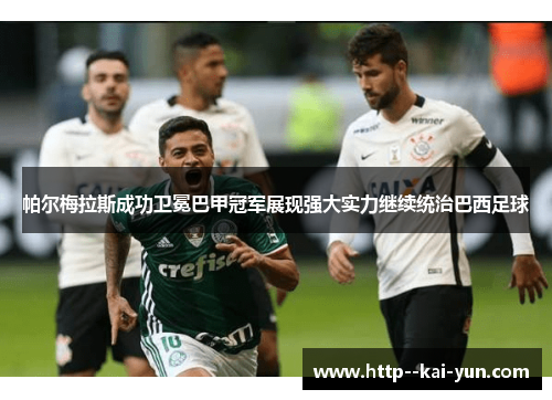 帕尔梅拉斯成功卫冕巴甲冠军展现强大实力继续统治巴西足球